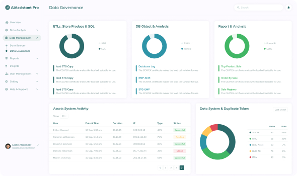 Data visual page preview